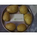potato supplier